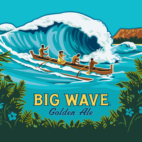 Big Wave 355ml